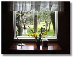 view out Guest House window